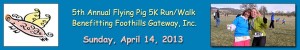 2013 Flying Pig Logo